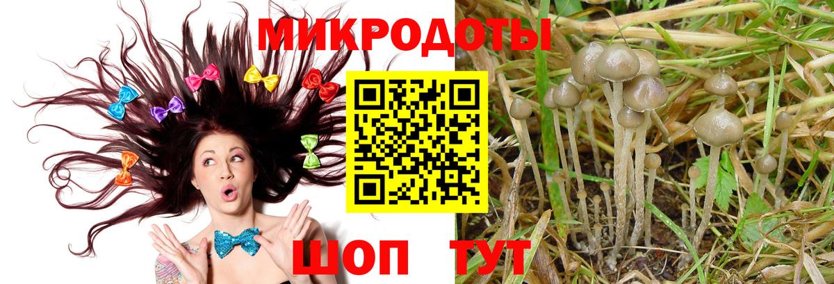 Псилоцибиновые грибы мухоморы Красноперекопск