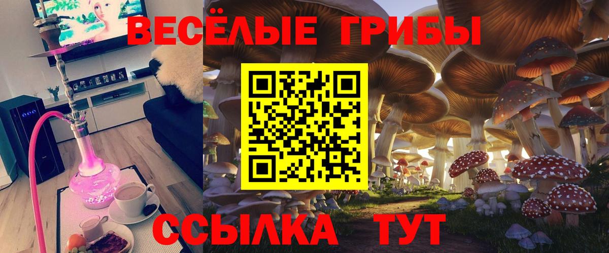 Красноперекопск  Галлюциногенные грибы прущие грибы  Вход с VPN 